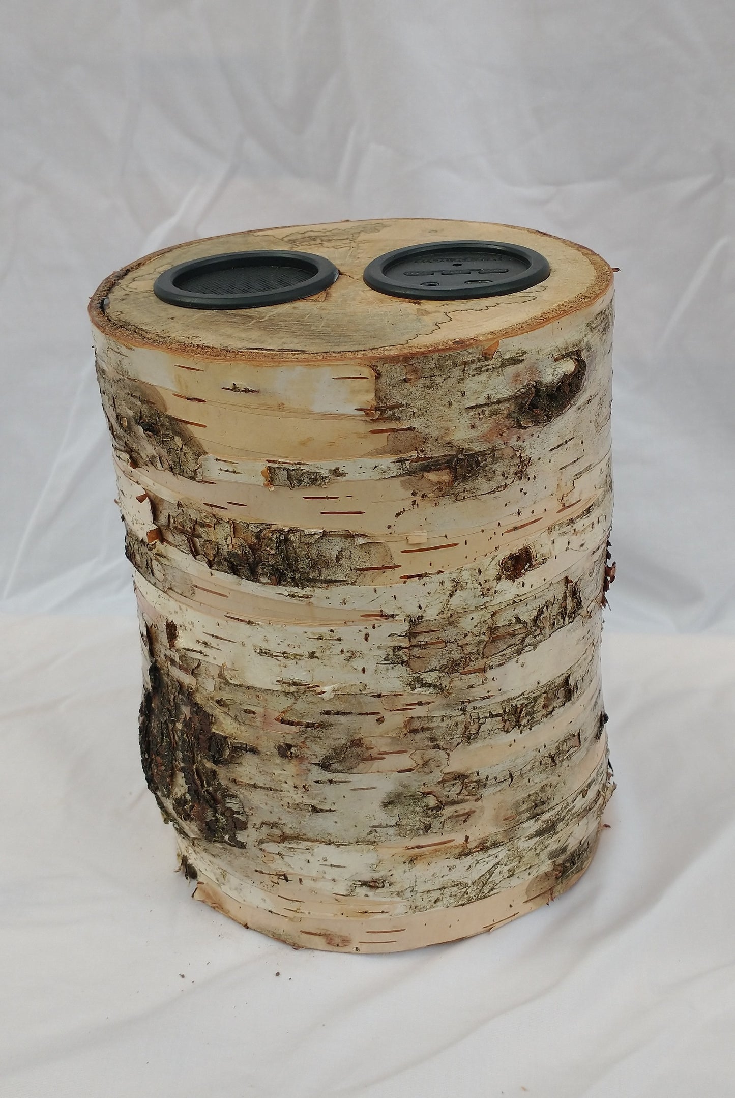 White Birch Bluetooth speaker